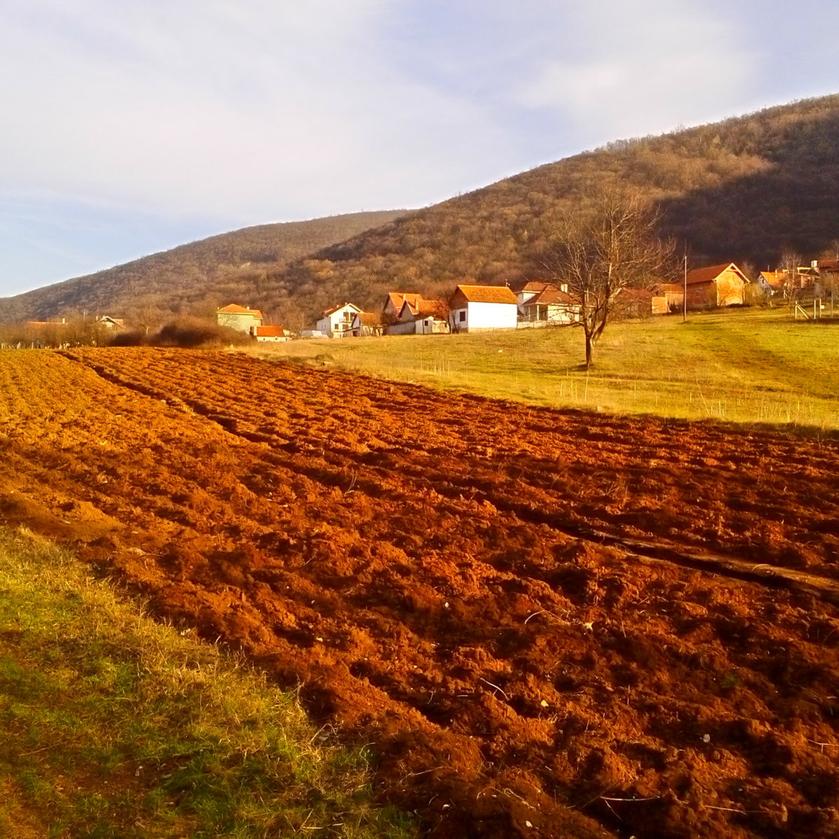 prodaja zemljišta Soko Banja